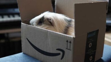 Photo of So kaufen Sie bei AliExpress, Ebay, Wish oder Amazon und zahlen in Raten mit einer Karte