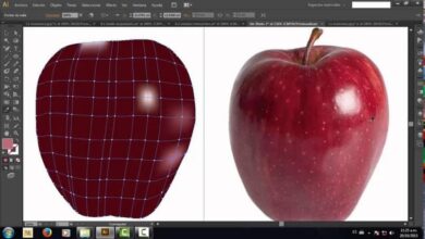 Photo of So verwenden Sie das Mesh-Tool in Adobe Illustrator – einfache Schritte